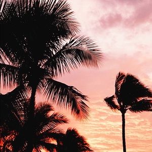 Meet your Posher, Susie